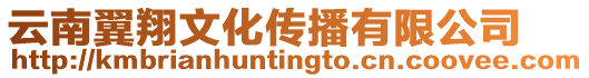 云南翼翔文化傳播有限公司