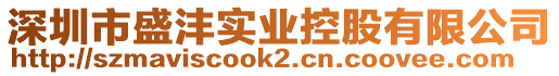 深圳市盛灃實業(yè)控股有限公司