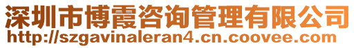 深圳市博霞咨詢管理有限公司