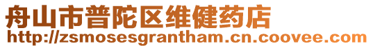 舟山市普陀區維健藥店
