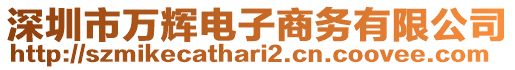 深圳市萬輝電子商務有限公司