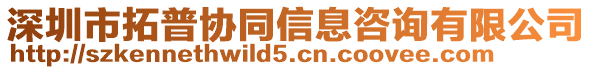 深圳市拓普協(xié)同信息咨詢有限公司