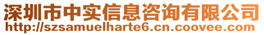 深圳市中實信息咨詢有限公司