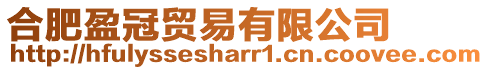 合肥盈冠貿易有限公司