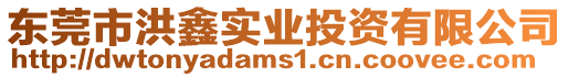 東莞市洪鑫實(shí)業(yè)投資有限公司
