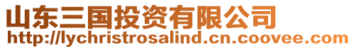 山東三國投資有限公司