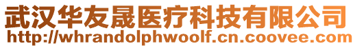 武漢華友晟醫療科技有限公司