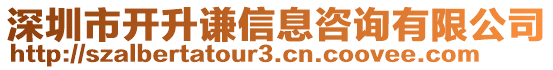 深圳市開升謙信息咨詢有限公司
