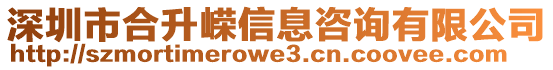 深圳市合升嶸信息咨詢有限公司