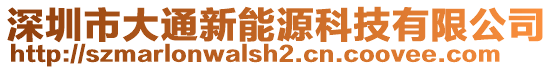 深圳市大通新能源科技有限公司