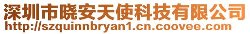 深圳市曉安天使科技有限公司