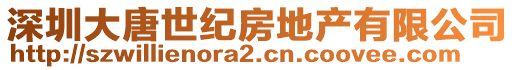 深圳大唐世紀房地產(chǎn)有限公司