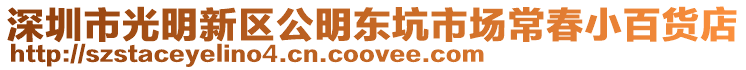 深圳市光明新區公明東坑市場常春小百貨店