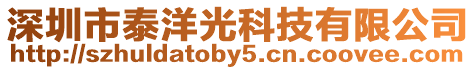 深圳市泰洋光科技有限公司