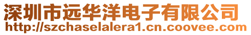 深圳市遠華洋電子有限公司
