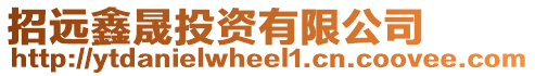 招遠鑫晟投資有限公司