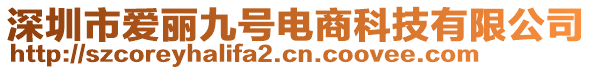 深圳市愛麗九號電商科技有限公司