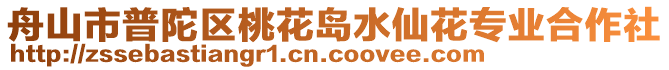 舟山市普陀區(qū)桃花島水仙花專業(yè)合作社