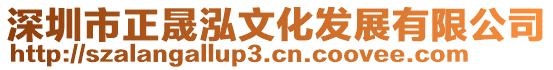 深圳市正晟泓文化發(fā)展有限公司