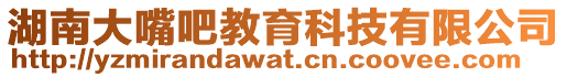 湖南大嘴吧教育科技有限公司
