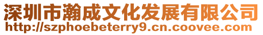 深圳市瀚成文化發展有限公司