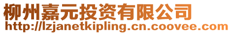 柳州嘉元投資有限公司