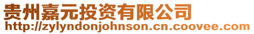 貴州嘉元投資有限公司