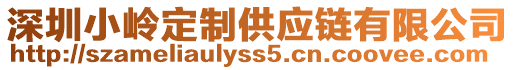 深圳小嶺定制供應(yīng)鏈有限公司