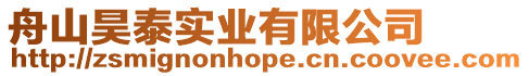 舟山昊泰實業有限公司