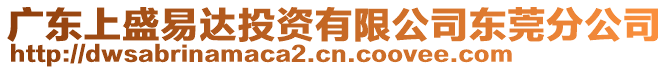 廣東上盛易達投資有限公司東莞分公司