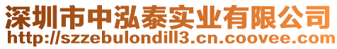 深圳市中泓泰實業有限公司