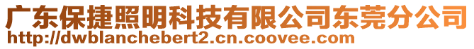 廣東保捷照明科技有限公司東莞分公司