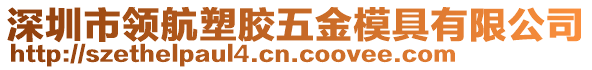 深圳市領航塑膠五金模具有限公司