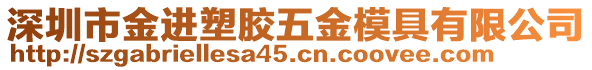 深圳市金進塑膠五金模具有限公司