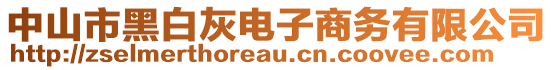 中山市黑白灰電子商務有限公司