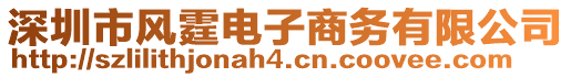 深圳市風霆電子商務有限公司