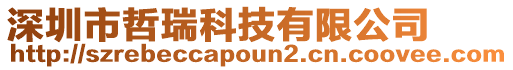深圳市哲瑞科技有限公司