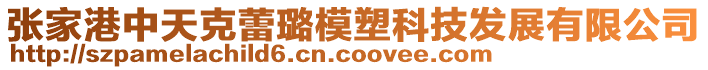 張家港中天克蕾璐模塑科技發(fā)展有限公司