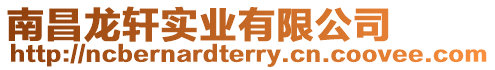 南昌龍軒實業有限公司