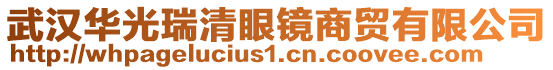 武漢華光瑞清眼鏡商貿(mào)有限公司
