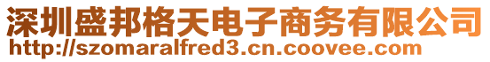 深圳盛邦格天電子商務(wù)有限公司