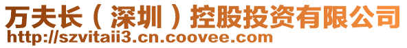 萬夫長(深圳)控股投資有限公司
