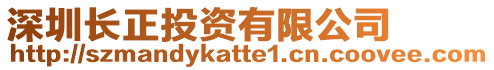 深圳長正投資有限公司