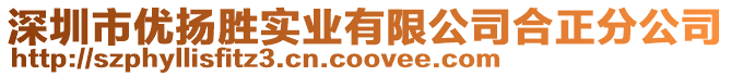 深圳市優揚勝實業有限公司合正分公司