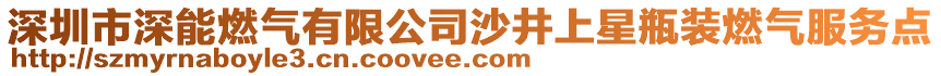 深圳市深能燃?xì)庥邢薰旧尘闲瞧垦b燃?xì)夥?wù)點(diǎn)