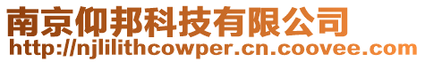 南京仰邦科技有限公司