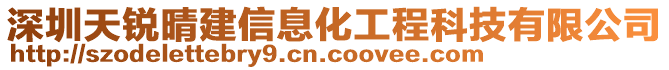 深圳天銳晴建信息化工程科技有限公司