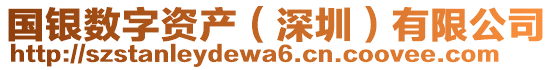 國銀數字資產(深圳)有限公司