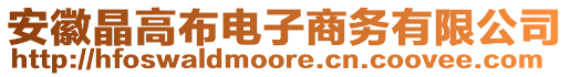 安徽晶高布電子商務有限公司