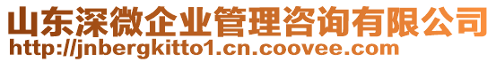 山東深微企業管理咨詢有限公司